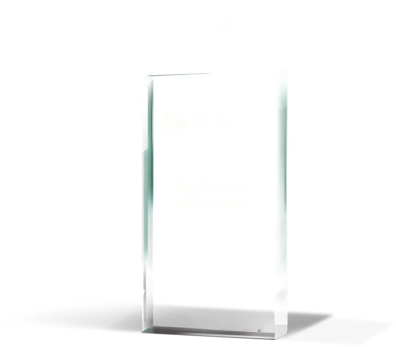 Merit Awards Trophy